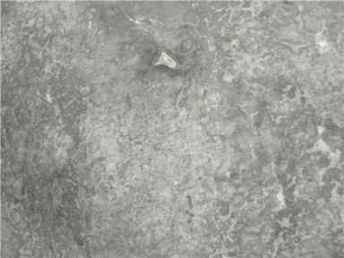 Tsaus Grey Marble Slab