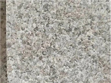 Tshiab 681 Shrimp Liab Granite